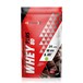 Протеиновый коктейль WHEY PLUS 80 (темный шоколад). 480г